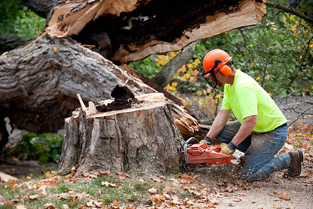 Best Firewood Processing and Delivery  in Ponderay, ID